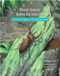 About Insects / Sobre los insectos