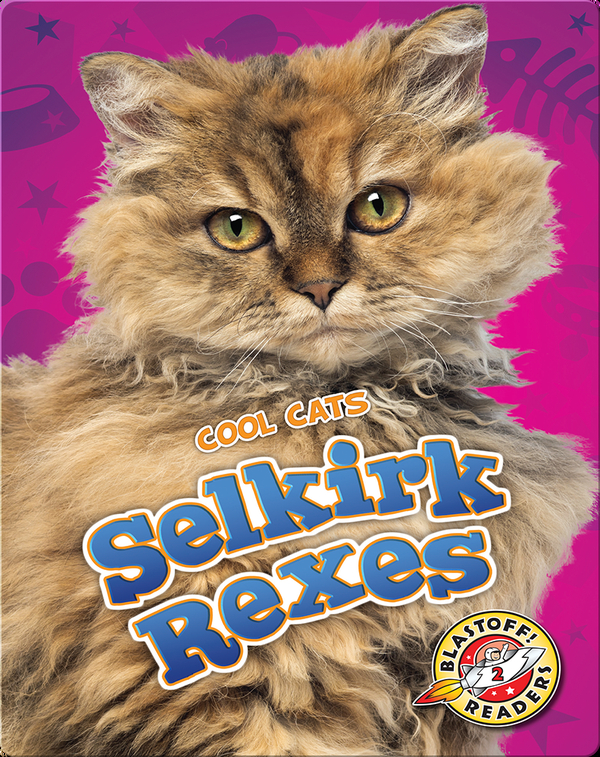 Cool Cats: Selkirk Rexes