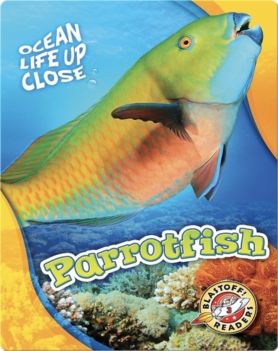 Ocean Life Up Close: Parrotfish