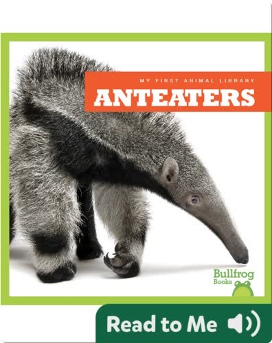 My First Animal Library: Anteaters
