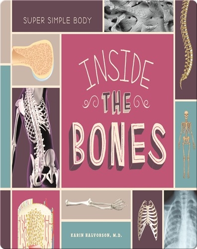 Inside the Bones