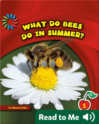 What Do Bees Do in Summer?