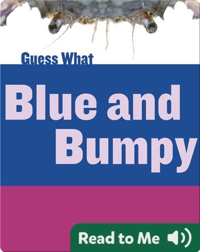 Blue and Bumpy