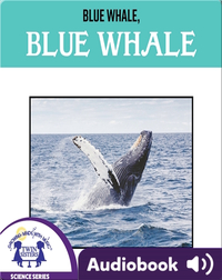 Blue Whale, Blue Whale