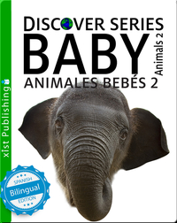 Animales Bebés 2/ Baby Animals 2