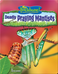 Deadly Praying Mantises