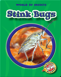 World of Insects: Stink Bugs