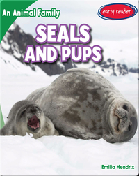Seals and Pups
