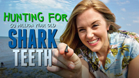 Hunting for 50 MILLION year old Shark Teeth!