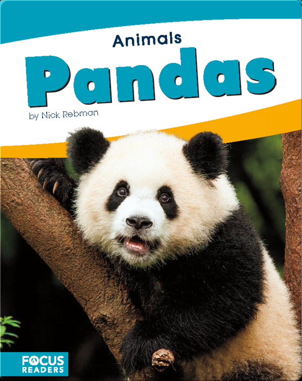 Animals: Pandas