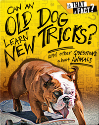 Can an Old Dog Learn New Tricks?: And Other Questions about Animals