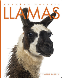 Amazing Animals: Llamas