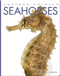 Amazing Animals: Seahorses