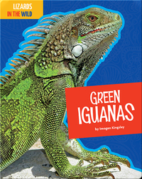 Lizards In The Wild: Green Iguanas