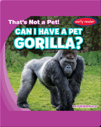 Can I Have a Pet Gorilla?