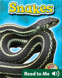Snakes: Backyard Wildlife