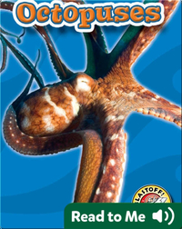 Octopuses: Oceans Alive