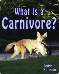 What is a Carnivore?