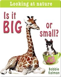 Is it Big or Small?