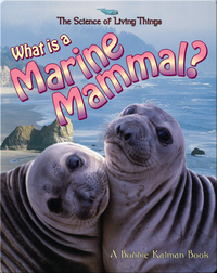 What is a Marine Mammal?