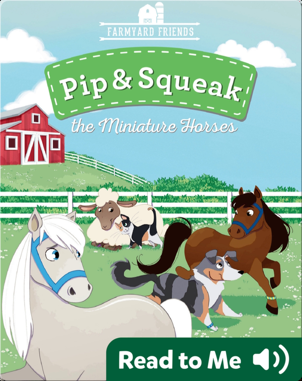 Pip & Squeak the Miniature Horses
