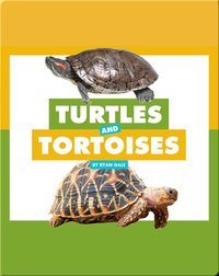 Comparing Animal Differences: Turtles and Tortoises