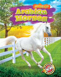 Saddle Up!: Arabian Horses