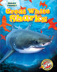 Shark Frenzy: Great White Sharks