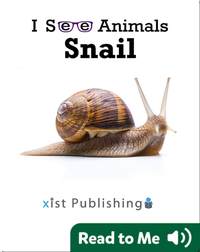 I See Animals: Snail