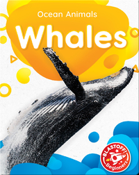 Ocean Animals: Whales
