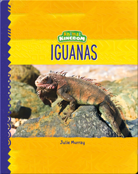 Animal Kingdom: Iguanas