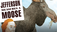 Jefferson Measures a Moose