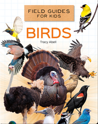 Field Guides for Kids: Birds