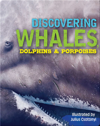 Discovering Whales, Dolphins, and Porpoises