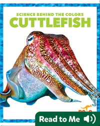 Science Behind the Colors: Cuttlefish