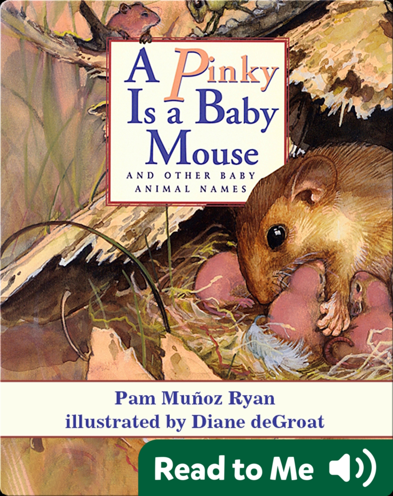 A Pinky Is A Baby Mouse And Other Baby Animal Names Children S Book By Pam Munoz Ryan With Illustrations By Diane Degroat Discover Children S Books Audiobooks Videos More On Epic