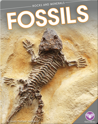 Rocks and Minerals: Fossils