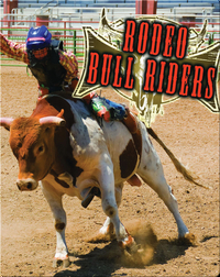 All About The Rodeo: Rodeo Bull Riders