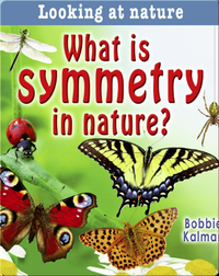 What Is Symmetry In Nature?
