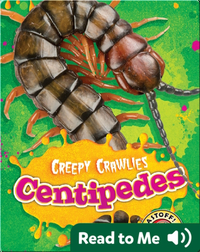 Creepy Crawlies: Centipedes
