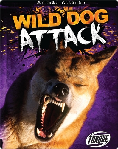 Wild Dog Attack