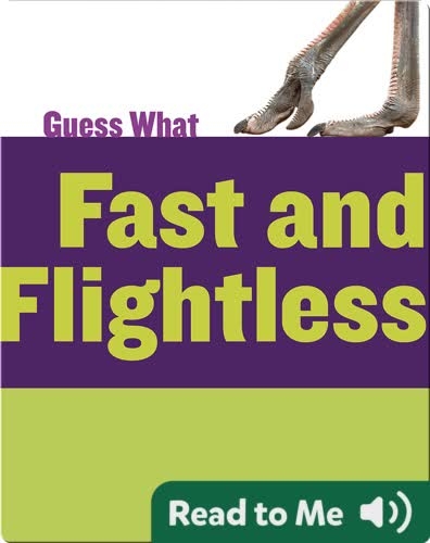 Fast and Flightless