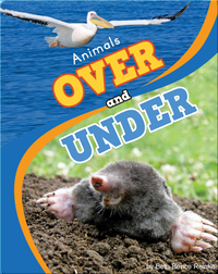 Animals Over And Under