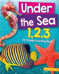 Under The Sea 1,2,3: An Ocean Counting Book