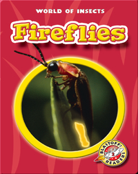 World of Insects: Fireflies