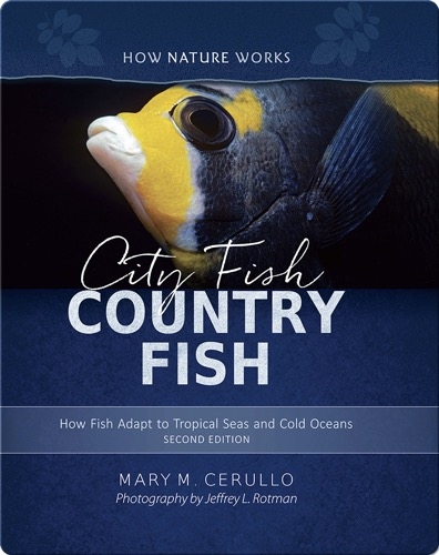 City Fish Country Fish