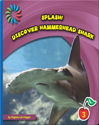 Discover Hammerhead Sharks