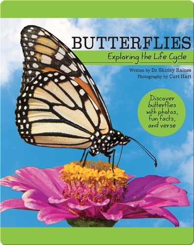 Butterflies: Exploring the Life Cycle
