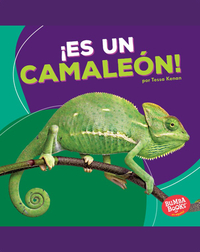 ¡Es un camaleón! (It's a Chameleon!)