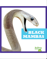 Reptile World: Black Mambas
